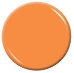 Color_ED Powder 140 Light Orange